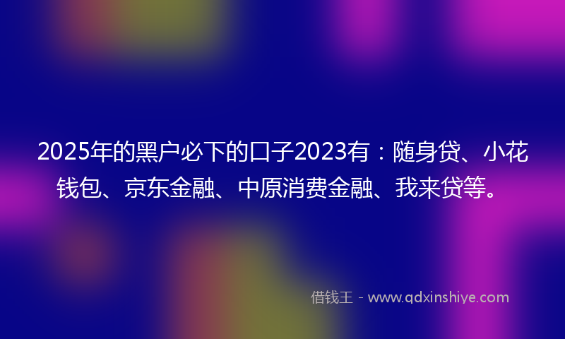 2025年的黑户必下的口子2023有：随身贷、小花钱包、京东金融、中原消费金融、我来贷等。