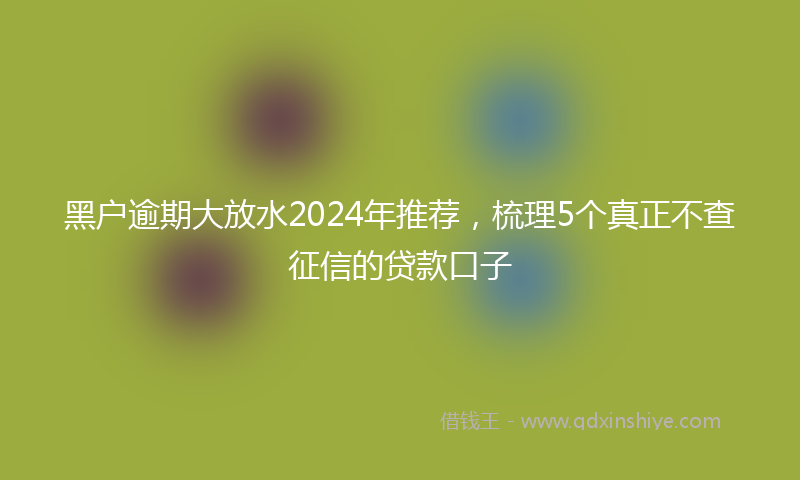 黑户逾期大放水2024年推荐，梳理5个真正不查征信的贷款口子