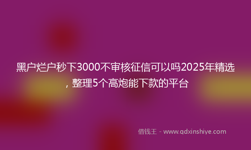 黑户烂户秒下3000不审核征信可以吗2025年精选，整理5个高炮能下款的平台