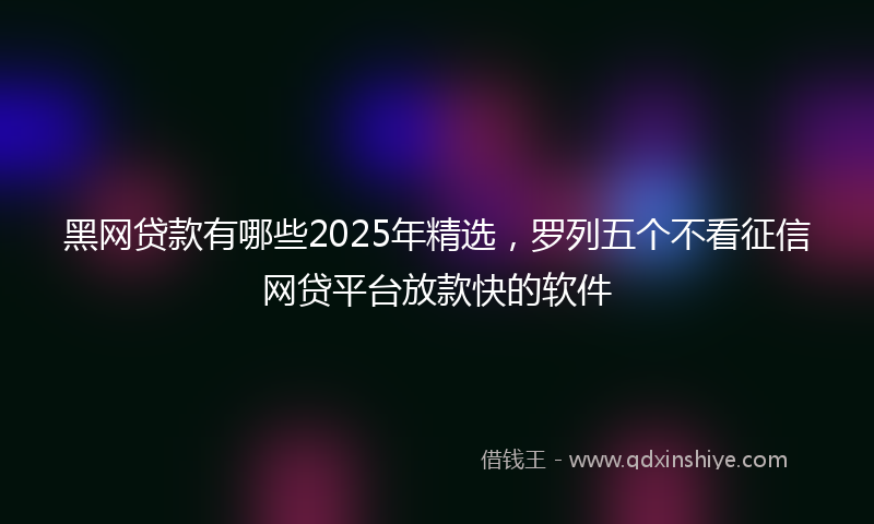 黑网贷款有哪些2025年精选，罗列五个不看征信网贷平台放款快的软件