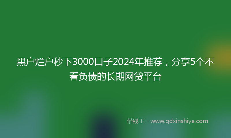 黑户烂户秒下3000口子2024年推荐，分享5个不看负债的长期网贷平台