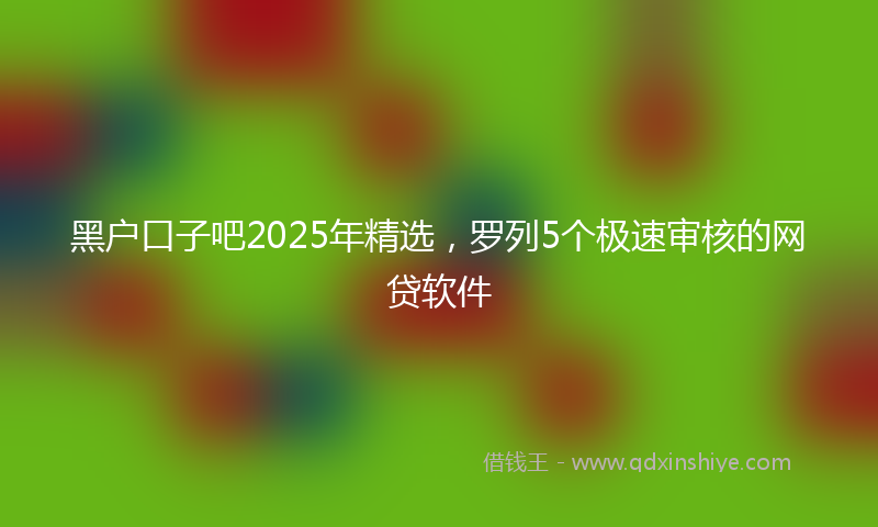 黑户口子吧2025年精选，罗列5个极速审核的网贷软件