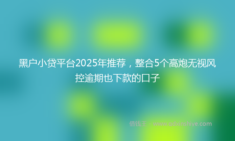 黑户小贷平台2025年推荐，整合5个高炮无视风控逾期也下款的口子