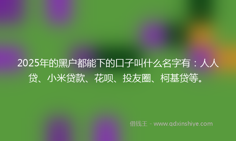 2025年的黑户都能下的口子叫什么名字有：人人贷、小米贷款、花呗、投友圈、柯基贷等。
