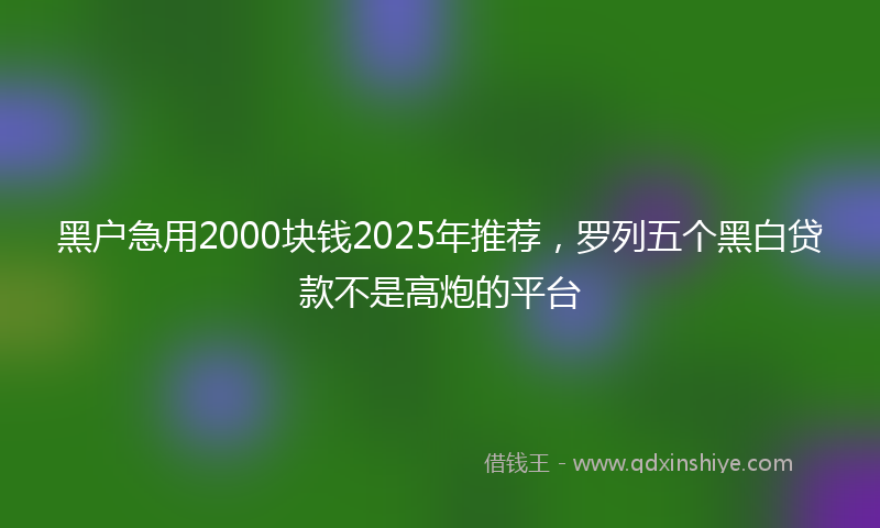 黑户急用2000块钱2025年推荐，罗列五个黑白贷款不是高炮的平台