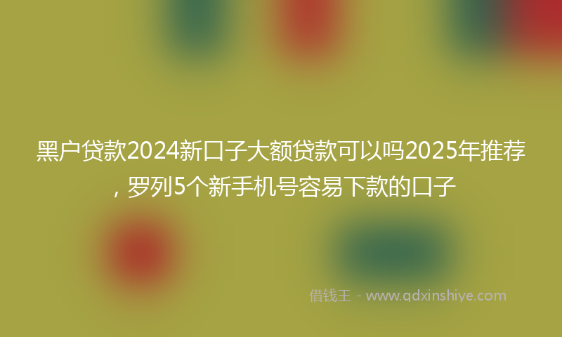 黑户贷款2024新口子大额贷款可以吗2025年推荐，罗列5个新手机号容易下款的口子