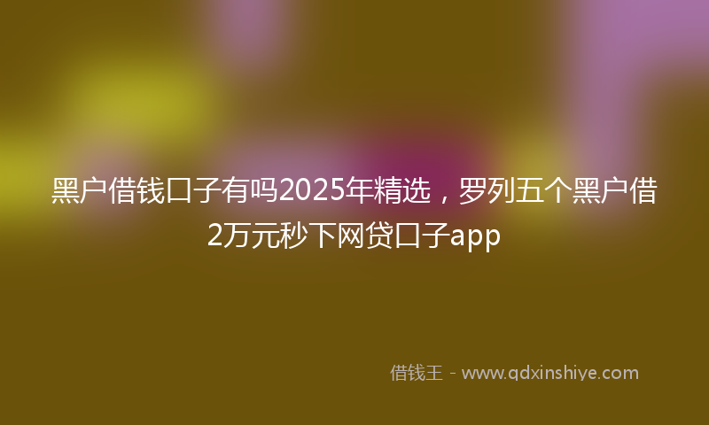 黑户借钱口子有吗2025年精选，罗列五个黑户借2万元秒下网贷口子app