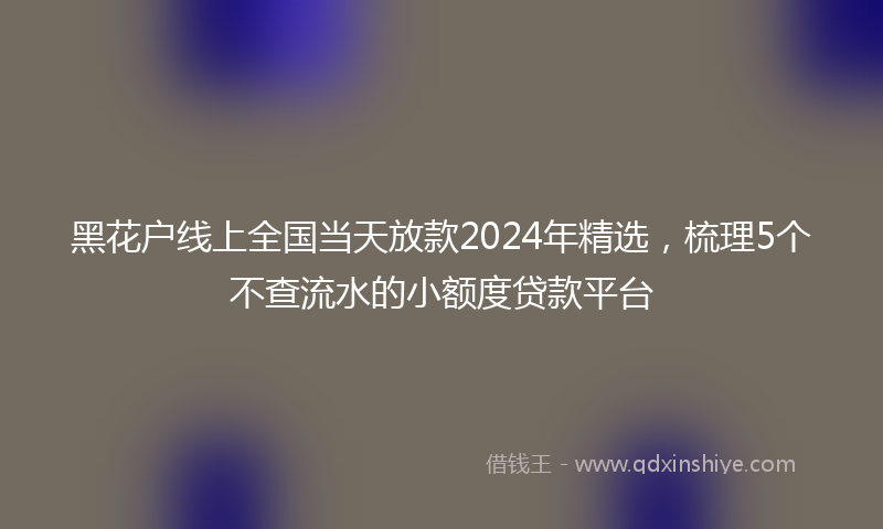 黑花户线上全国当天放款2024年精选，梳理5个不查流水的小额度贷款平台