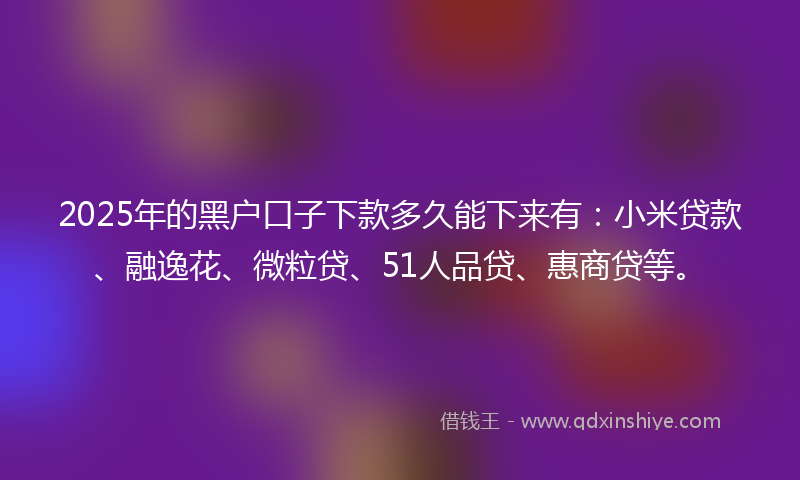 2025年的黑户口子下款多久能下来有：小米贷款、融逸花、微粒贷、51人品贷、惠商贷等。