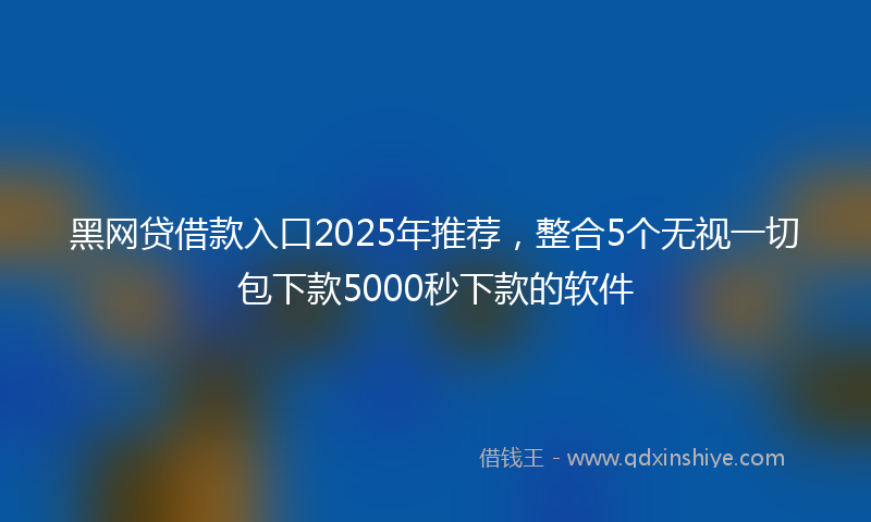 黑网贷借款入口2025年推荐，整合5个无视一切包下款5000秒下款的软件