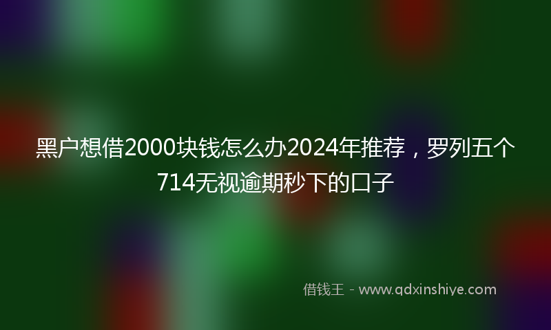 黑户想借2000块钱怎么办2024年推荐，罗列五个714无视逾期秒下的口子