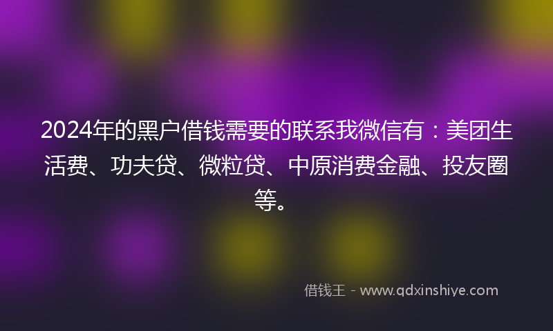 2024年的黑户借钱需要的联系我微信有：美团生活费、功夫贷、微粒贷、中原消费金融、投友圈等。