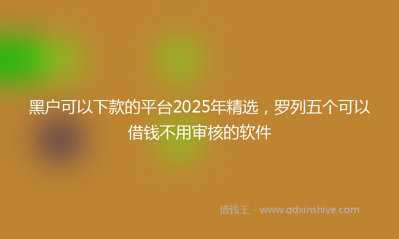 黑户可以下款的平台2025年精选，罗列五个可以借钱不用审核的软件
