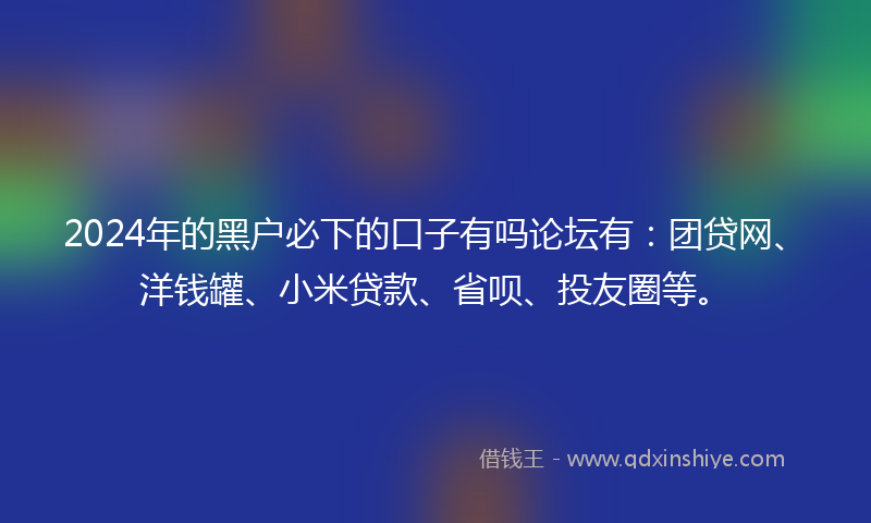 2024年的黑户必下的口子有吗论坛有：团贷网、洋钱罐、小米贷款、省呗、投友圈等。