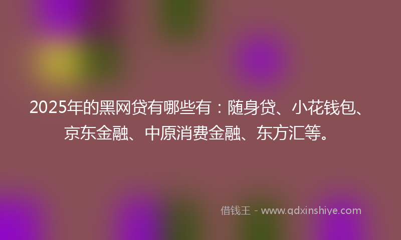 2025年的黑网贷有哪些有：随身贷、小花钱包、京东金融、中原消费金融、东方汇等。