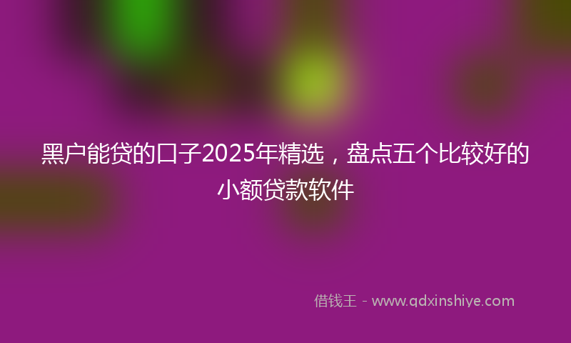 黑户能贷的口子2025年精选，盘点五个比较好的小额贷款软件
