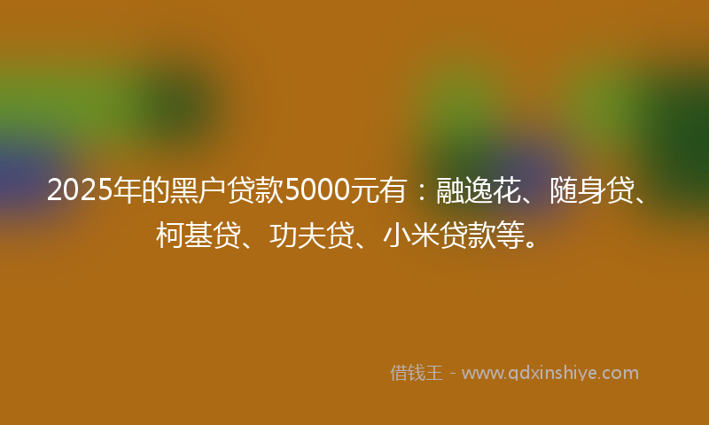 2025年的黑户贷款5000元有：融逸花、随身贷、柯基贷、功夫贷、小米贷款等。
