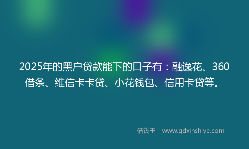 2025年的黑户贷款能下的口子有：融逸花、360借条、维信卡卡贷、小花钱包、信用卡贷等。