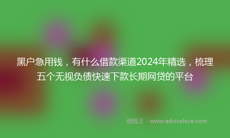 黑户急用钱，有什么借款渠道2024年精选，梳理五个无视负债快速下款长期网贷的平台