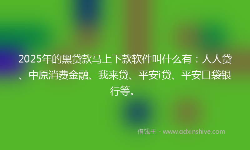 2025年的黑贷款马上下款软件叫什么有：人人贷、中原消费金融、我来贷、平安i贷、平安口袋银行等。