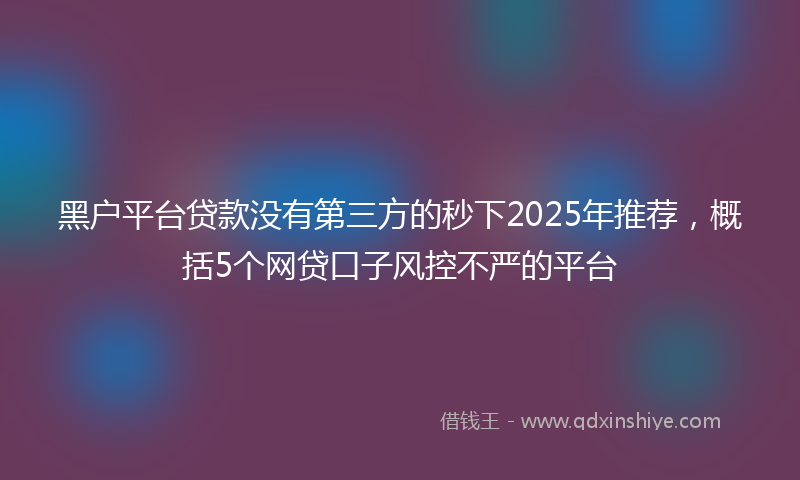 黑户平台贷款没有第三方的秒下2025年推荐，概括5个网贷口子风控不严的平台