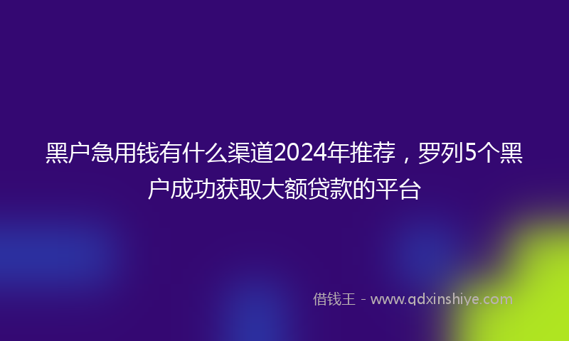 黑户急用钱有什么渠道2024年推荐，罗列5个黑户成功获取大额贷款的平台