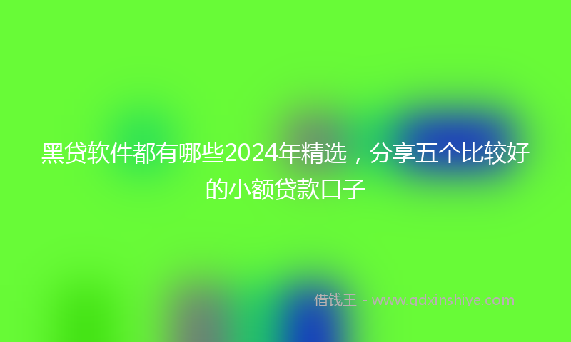 黑贷软件都有哪些2024年精选，分享五个比较好的小额贷款口子
