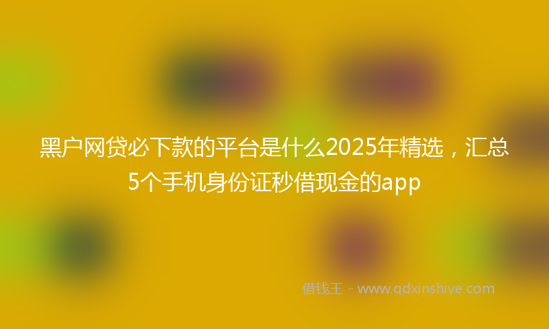 黑户网贷必下款的平台是什么2025年精选，汇总5个手机身份证秒借现金的app