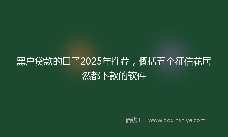 黑户贷款的口子2025年推荐，概括五个征信花居然都下款的软件