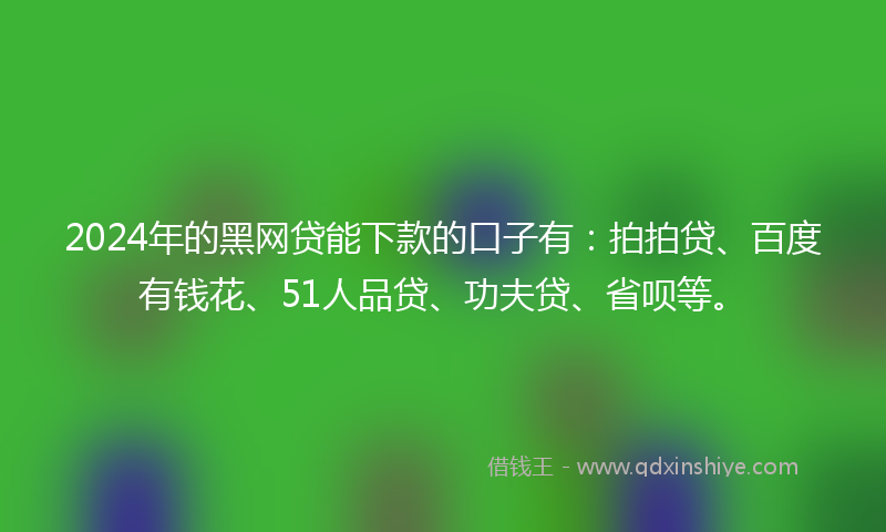 2024年的黑网贷能下款的口子有：拍拍贷、百度有钱花、51人品贷、功夫贷、省呗等。
