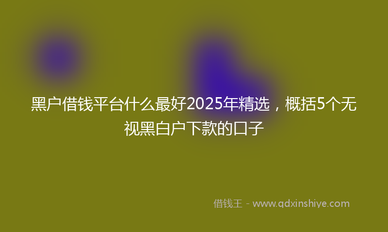 黑户借钱平台什么最好2025年精选，概括5个无视黑白户下款的口子