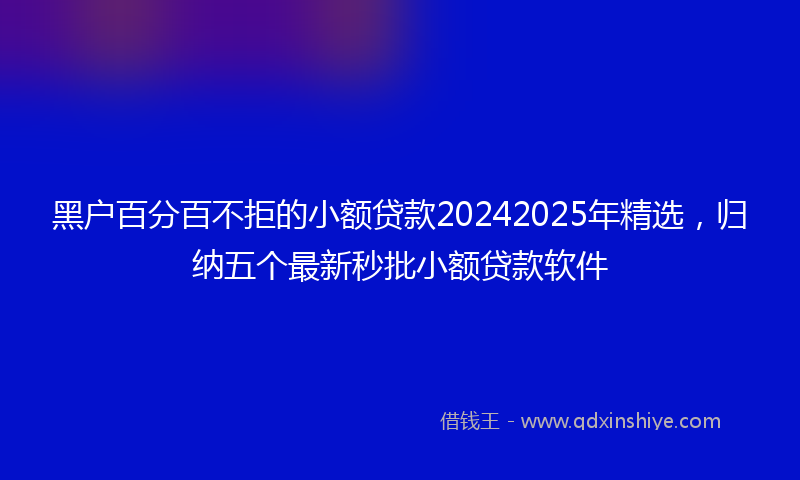 黑户百分百不拒的小额贷款20242025年精选，归纳五个最新秒批小额贷款软件