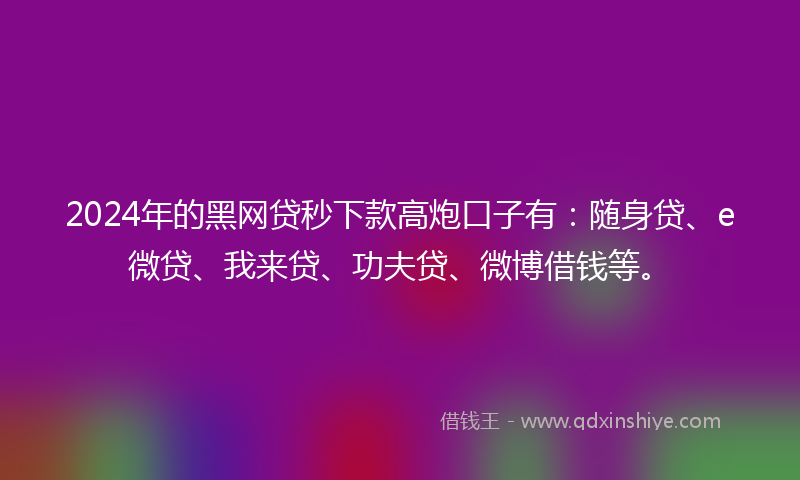2024年的黑网贷秒下款高炮口子有：随身贷、e微贷、我来贷、功夫贷、微博借钱等。