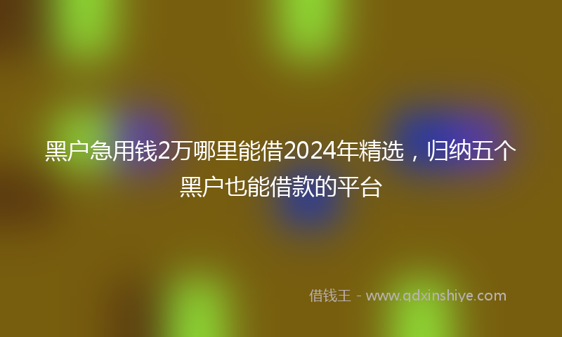 黑户急用钱2万哪里能借2024年精选，归纳五个黑户也能借款的平台