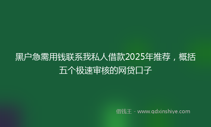黑户急需用钱联系我私人借款2025年推荐，概括五个极速审核的网贷口子