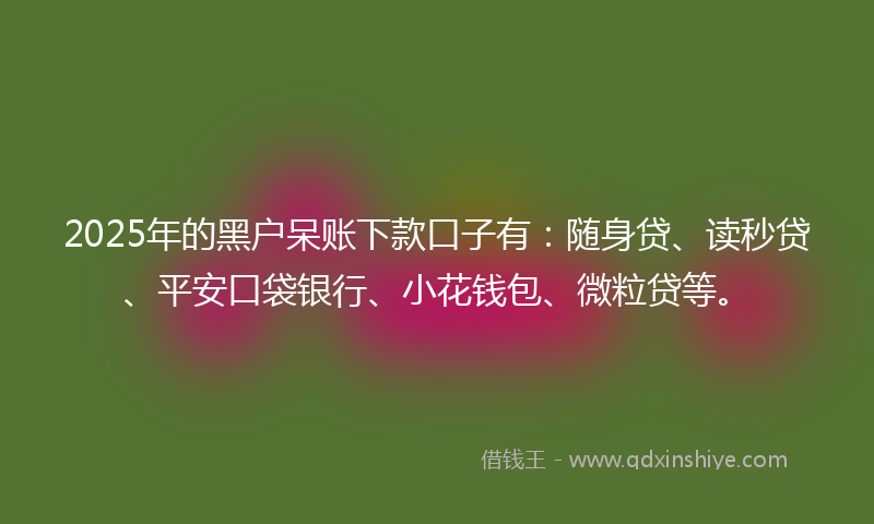 2025年的黑户呆账下款口子有：随身贷、读秒贷、平安口袋银行、小花钱包、微粒贷等。