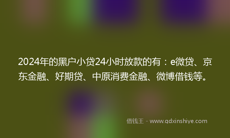 2024年的黑户小贷24小时放款的有：e微贷、京东金融、好期贷、中原消费金融、微博借钱等。