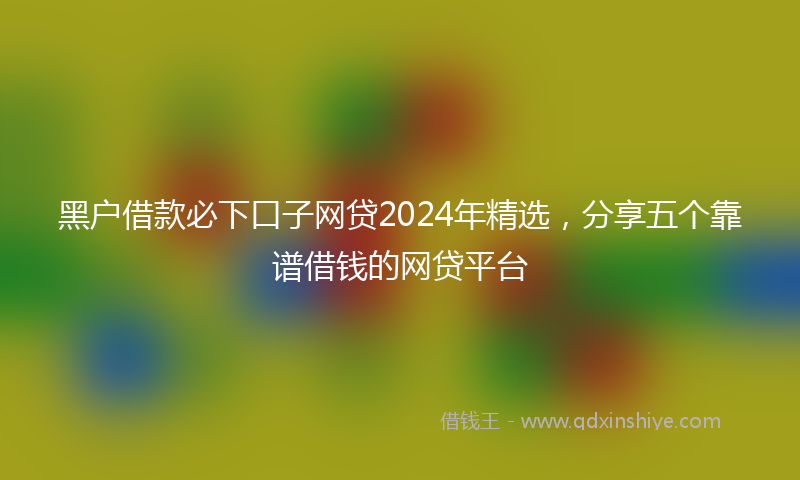 黑户借款必下口子网贷2024年精选，分享五个靠谱借钱的网贷平台