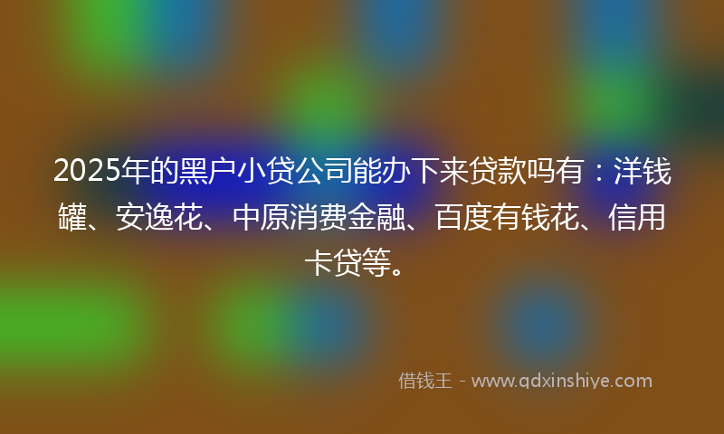 2025年的黑户小贷公司能办下来贷款吗有：洋钱罐、安逸花、中原消费金融、百度有钱花、信用卡贷等。