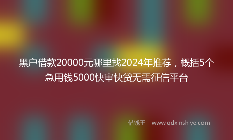 黑户借款20000元哪里找2024年推荐，概括5个急用钱5000快审快贷无需征信平台