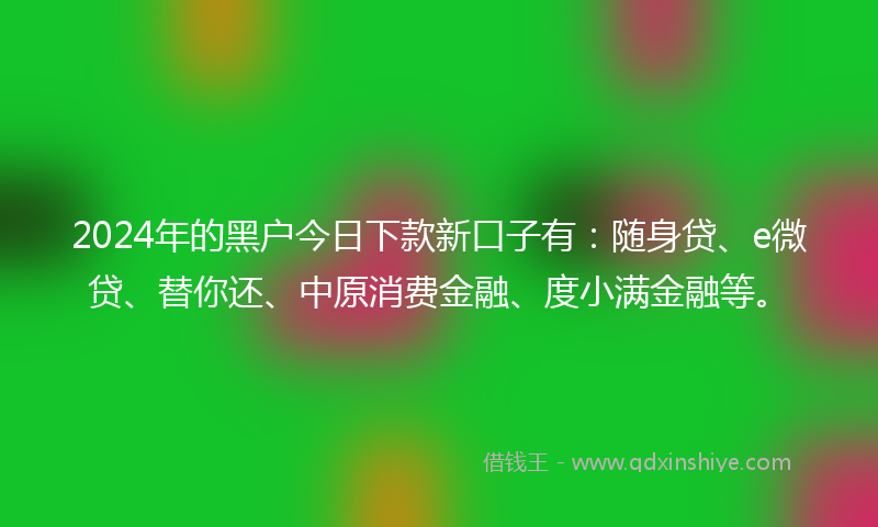 2024年的黑户今日下款新口子有：随身贷、e微贷、替你还、中原消费金融、度小满金融等。