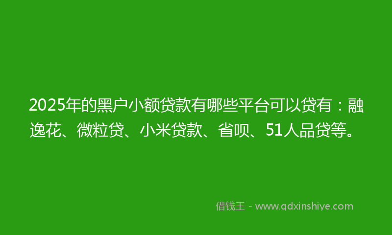 2025年的黑户小额贷款有哪些平台可以贷有：融逸花、微粒贷、小米贷款、省呗、51人品贷等。