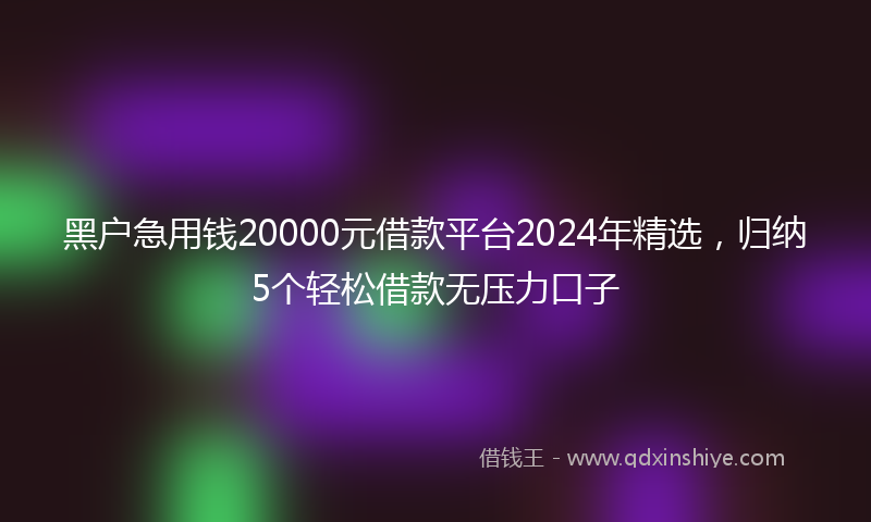 黑户急用钱20000元借款平台2024年精选，归纳5个轻松借款无压力口子