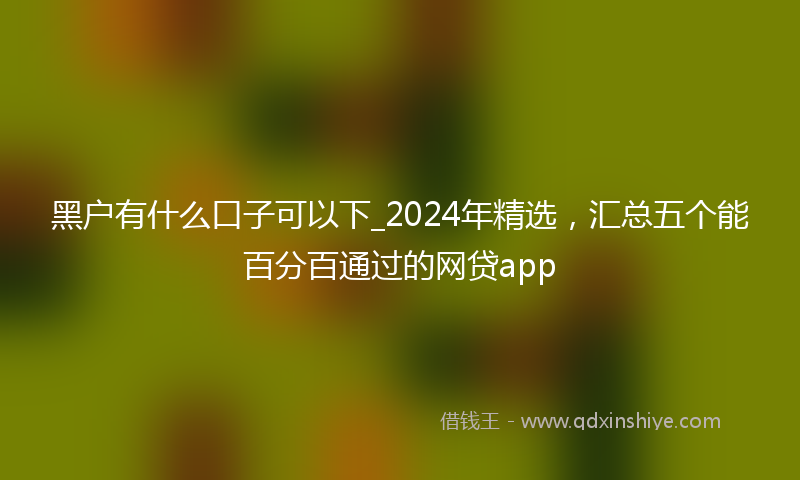 黑户有什么口子可以下_2024年精选，汇总五个能百分百通过的网贷app