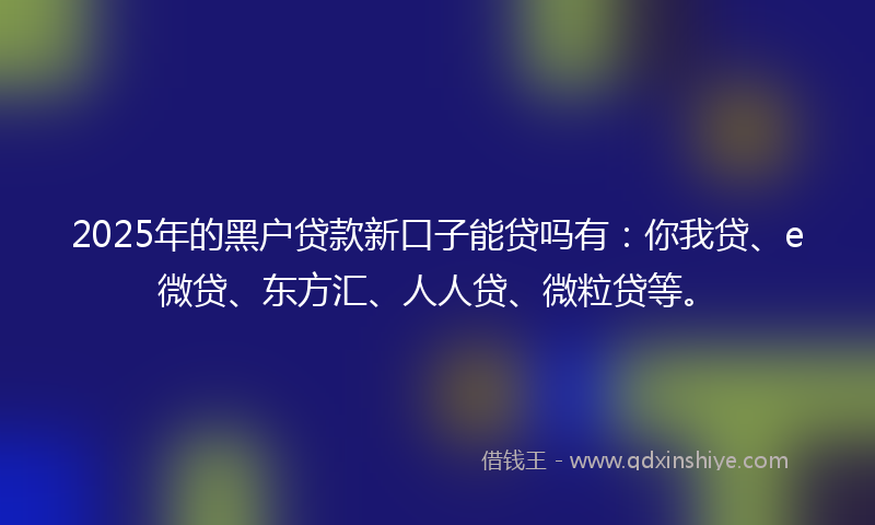 2025年的黑户贷款新口子能贷吗有：你我贷、e微贷、东方汇、人人贷、微粒贷等。