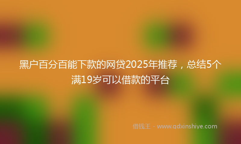 黑户百分百能下款的网贷2025年推荐，总结5个满19岁可以借款的平台