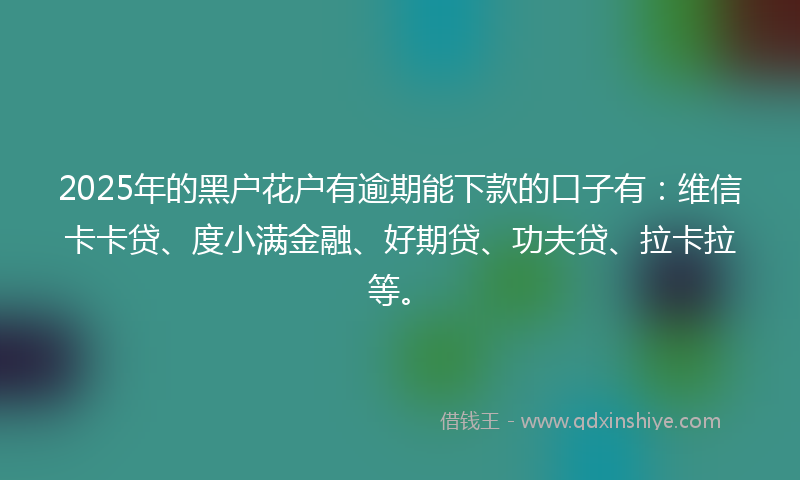 2025年的黑户花户有逾期能下款的口子有：维信卡卡贷、度小满金融、好期贷、功夫贷、拉卡拉等。