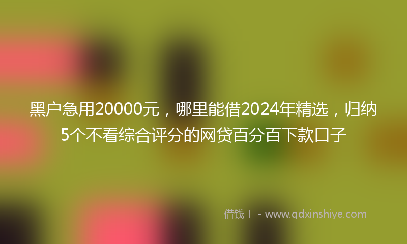 黑户急用20000元，哪里能借2024年精选，归纳5个不看综合评分的网贷百分百下款口子