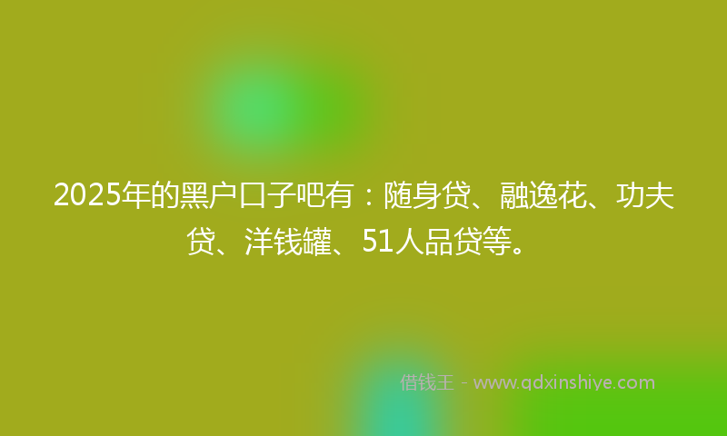 2025年的黑户口子吧有：随身贷、融逸花、功夫贷、洋钱罐、51人品贷等。