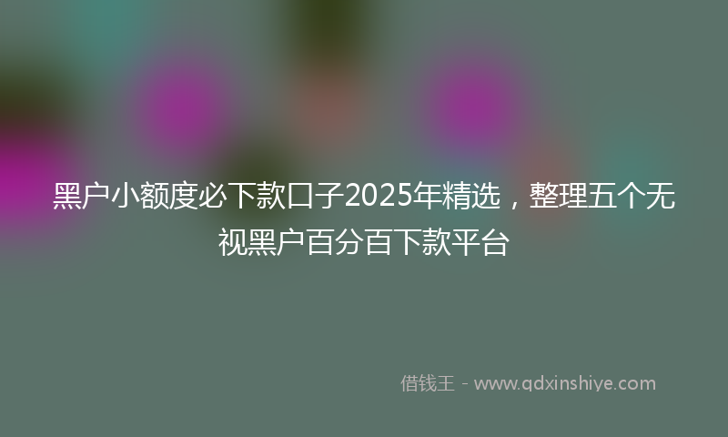 黑户小额度必下款口子2025年精选，整理五个无视黑户百分百下款平台